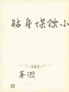 贴身保镖小说封面