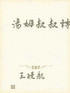 汤姆叔叔转接口