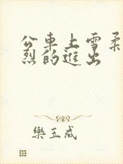 公车上雪柔被猛烈的进出