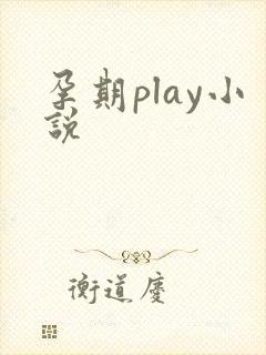孕期play小说