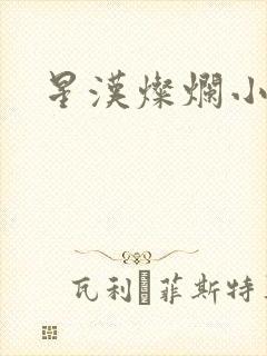 星汉灿烂小说