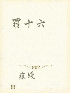 罗十六