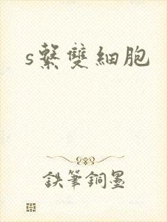 s系双细胞