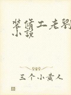 装修工老刘林雪小说