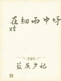 在细雨中呼喊txt