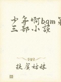 少年啊bgm第三部小说