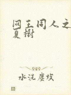 网王同人之桃生夏树