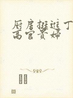 厨房挺进丁字裤高官贵妇