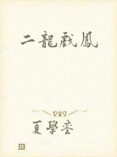 二龙戏凤
