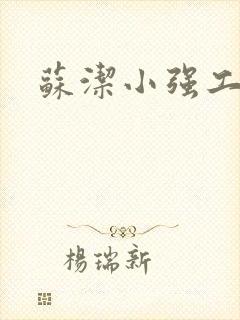 苏洁小强工地情