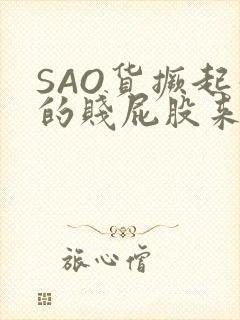 SAO货撅起你的贱屁股来封面