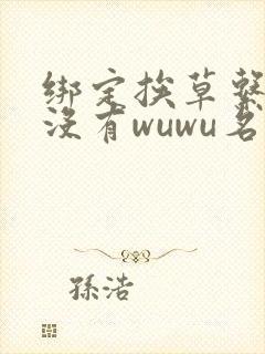 绑定挨草系统后没有wuwu名字封面