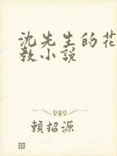 沈先生的花式管教小说