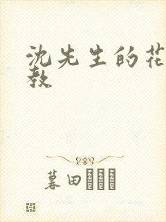 沈先生的花式管教封面