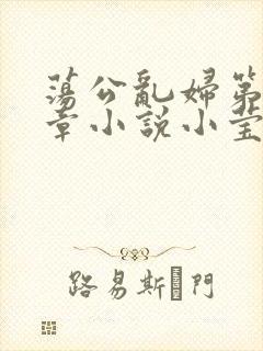 荡公乱妇第51章小说小莹