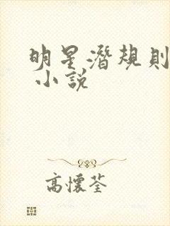 明星潜规则之皇 小说