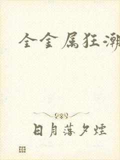 全金属狂潮小说