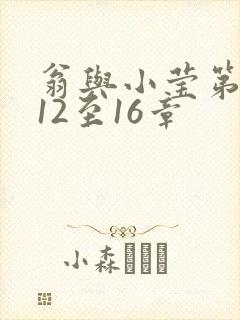 翁与小莹第十部12至16章