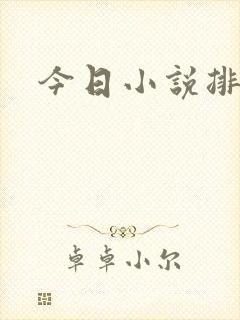 今日小说排行榜封面
