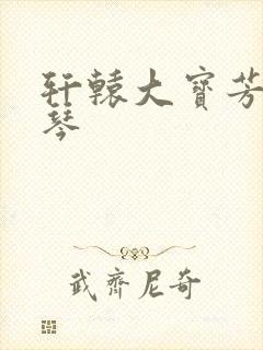 轩辕大宝芳菲雅琴