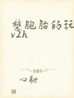 双胞胎的玩具1v2h