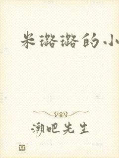 米璐璐的小说