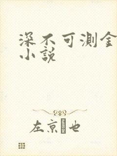深不可测金银花小说