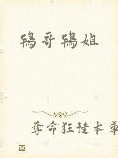 鸨哥鸨姐封面