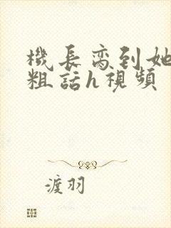 机长脔到她哭h粗话h视频