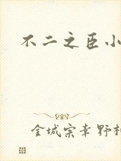 不二之臣小说