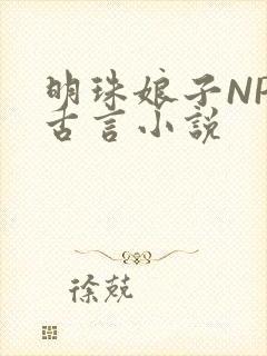 明珠娘子NPC古言小说