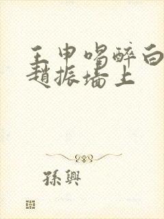 王申喝醉白洁被赵振墙上