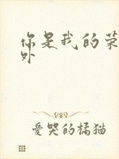 你是我的荣耀番外封面