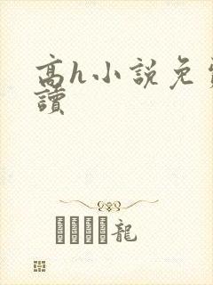 高h小说免费阅读封面