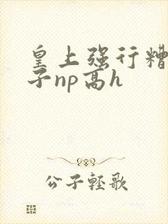 皇上强行糟蹋太子np高h