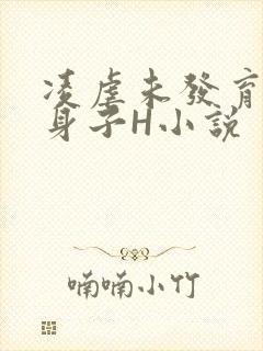 凌虐未发育的小身子H小说