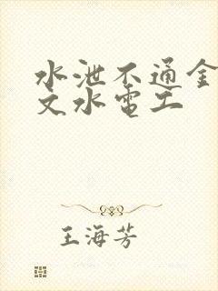 水泄不通金银原文水电工