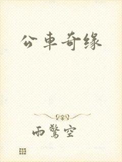 公车奇缘