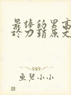 最棒的男高中生于刀鞘原文阅读封面