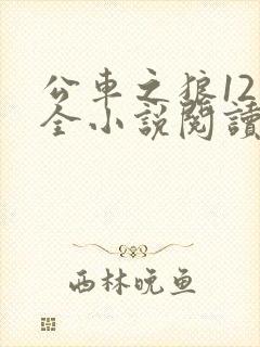 公车之狼12集全小说阅读