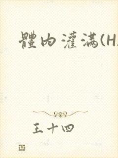 体内灌满(H)封面