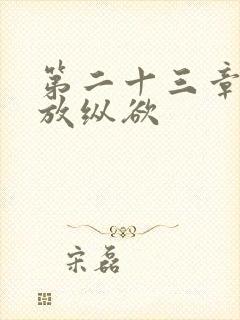 第二十三章小莹放纵欲封面