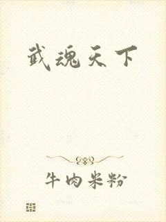 武魂天下