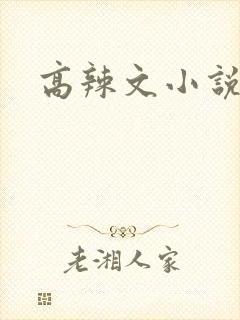 高辣文小说