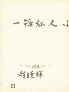 一号红人 小说