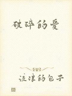 破碎的爱封面