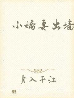 小娇妻出墙记封面