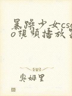 暴躁少女csgo视频播放器推荐