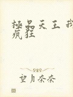 极品天王 我本疯狂