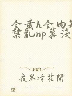 全黄h全肉短篇禁乱np慕浅浅封面